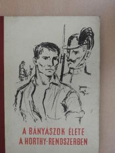 A bányászok élete a Horthy-rendszerben [antikvár]