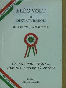 Bikafalvi Máthé László - 2002-es választási útmutató - felülmatricázva [antikvár]