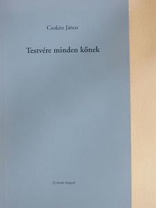 Csokits János - Testvére minden kőnek [antikvár]