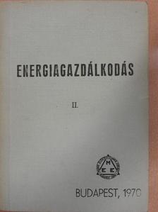 Budai Imre - Energiagazdálkodás II. [antikvár]