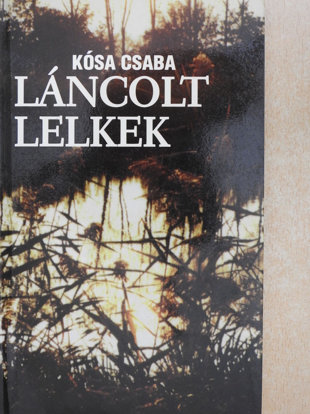 Kósa Csaba - Láncolt lelkek (dedikált példány) [antikvár]