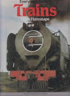 Brian Haesnape - Everyone's Book of Trains [antikvár]