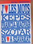 Képes francia-magyar szótár [antikvár]