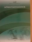 Fazekas Péter - Műhelytanulmányok [antikvár]