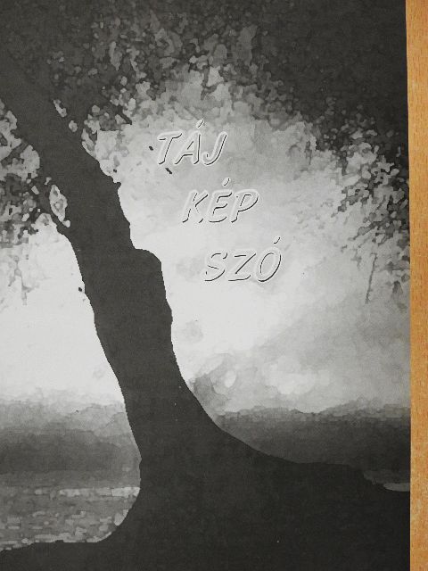 Barak László - Táj - kép - szó [antikvár]