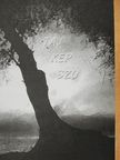 Barak László - Táj - kép - szó [antikvár]