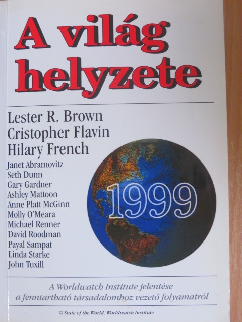 Anne Platt McGinn - A világ helyzete 1999 [antikvár]