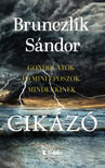 Brunczlik Sándor - Cikázó - Gondolatok és mini eposzok mindenkinek [eKönyv: epub, mobi]