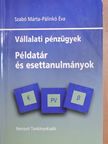 Pálinkó Éva - Vállalati pénzügyek [antikvár]