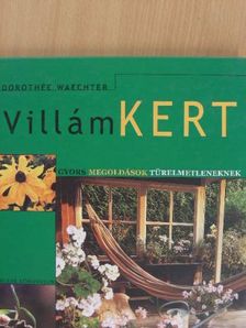 Dorothée Waechter - Villámkert [antikvár]