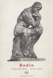 Goldsajder, Sesil - Rodin [antikvár]