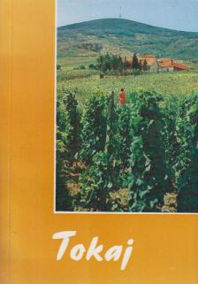 Tózsa István - Tokaj [antikvár]