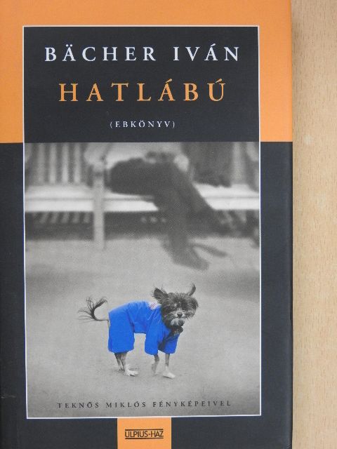 Bächer Iván - Hatlábú [antikvár]