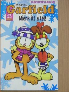 Jim Davis - Miénk itt a tél! [antikvár]