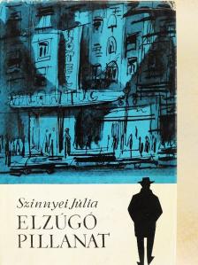 Szinnyei Júlia - Elzúgó pillanat [antikvár]
