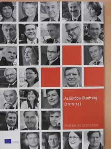 Az Európai Bizottság (2010-14) [antikvár]
