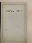 Benedictus de Spinoza - Spinoza levelei [antikvár]