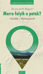 Horváth Júlia Borbála[szerk.] - Merre folyik a patak?