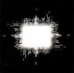 TOOL - AENIMA CD TOOL