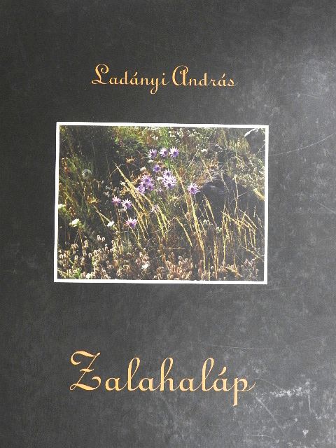 Ladányi András - Zalahaláp [antikvár]