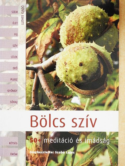 Bölcs szív [antikvár]