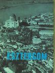 Huba László - Esztergom [antikvár]