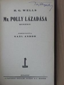 H. G. Wells - Mr. Polly lázadása [antikvár]