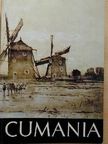 Cumania V. [antikvár]