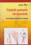 Jezsó Ákos - Tűzből pattant történetek [antikvár]