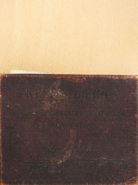 Hock János - Képes Biblia (rossz állapotú) [antikvár]