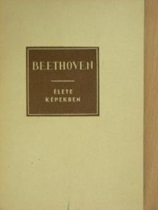 Richard Petzoldt - Ludwig van Beethoven élete képekben [antikvár]