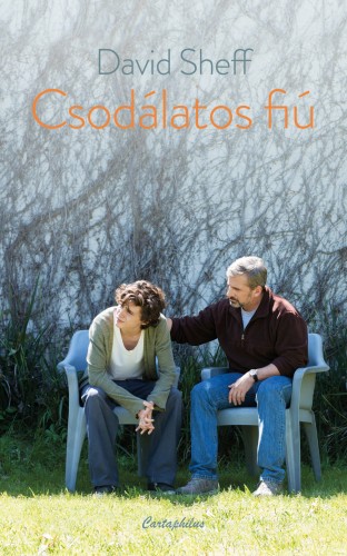 Sheff, David - Csodálatos fiú [eKönyv: epub, mobi]