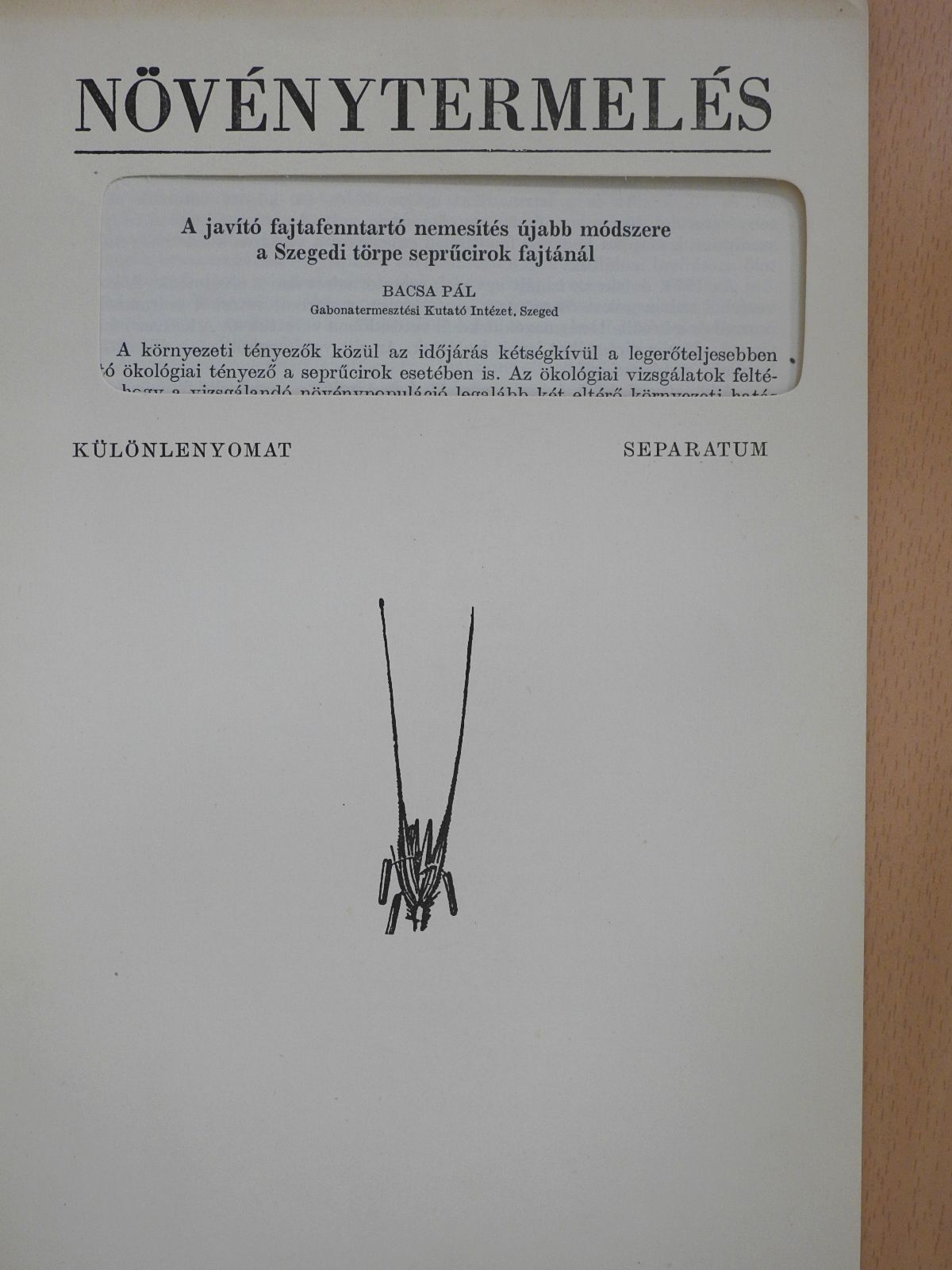 Bacsa Pál - A javító fajtafenntartó nemesítés újabb módszere a Szegedi törpe seprűcirok fajtánál (dedikált példány) [antikvár]
