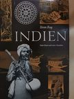 Biren Roy - Indien [antikvár]