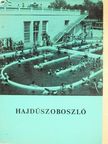Dr. Csomor Benő - Hajdúszoboszló [antikvár]