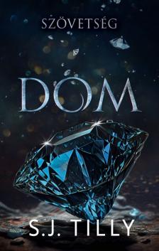 S.J. Tilly - Dom [eKönyv: epub, mobi]