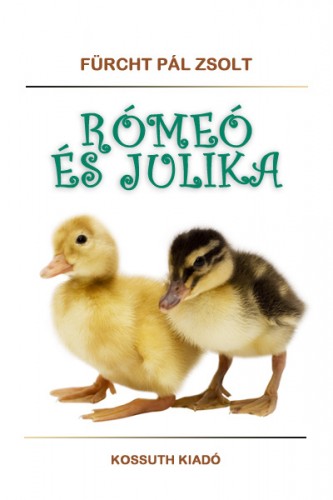 Fürcht Pál Zsolt - Rómeó és Julika [eKönyv: epub, mobi]