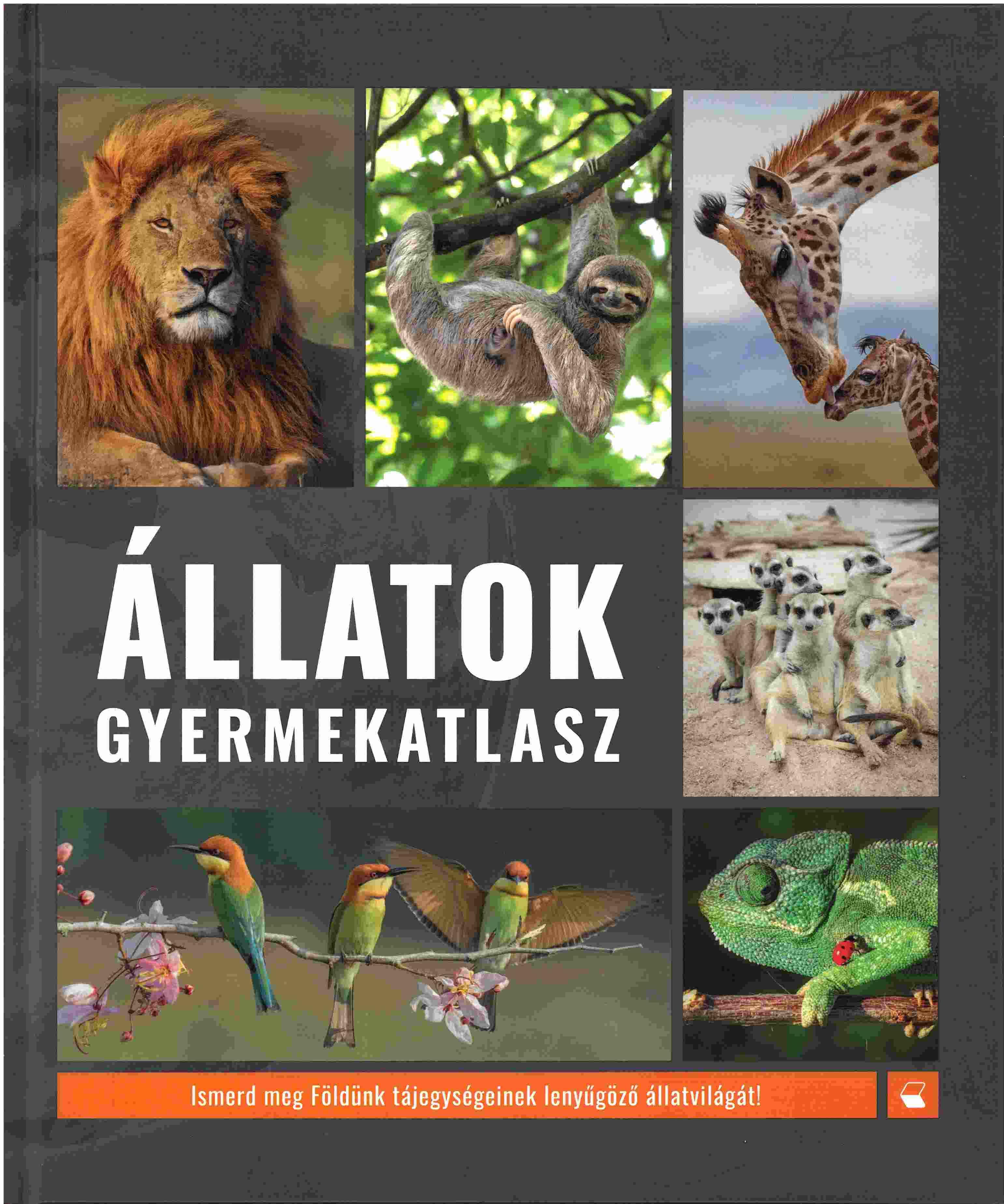 Állatok gyermekatlasz