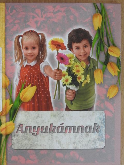 Anyukámnak [antikvár]