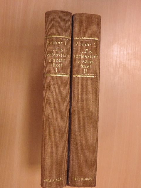 S. Zachár Ilona - ...és terjesztém a szent tüzet I-II. [antikvár]