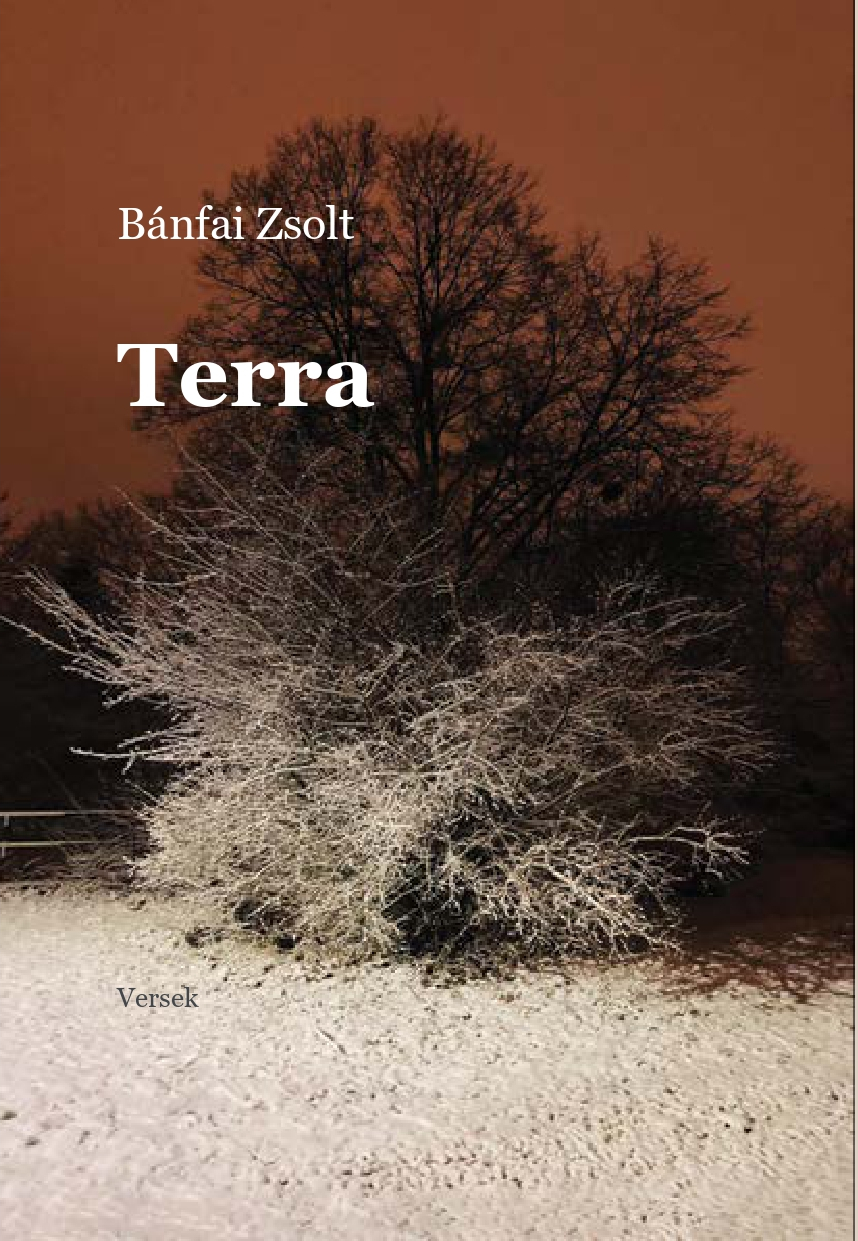 Bánfai Zsolt - Terra