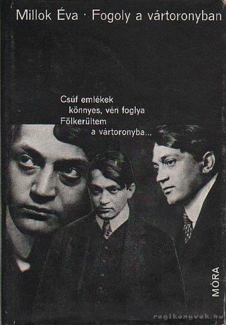 Millok Éva - Fogoly a Vártoronyban [antikvár]