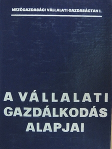 A vállalati gazdálkodás alapjai [antikvár]