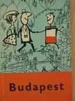 Halász Zoltán - Budapest [antikvár]