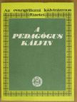 Dr. Dékány Endre - A pedagógus Kálvin [antikvár]
