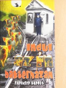 Sáringer Károly - Indul az én bakterházam [antikvár]