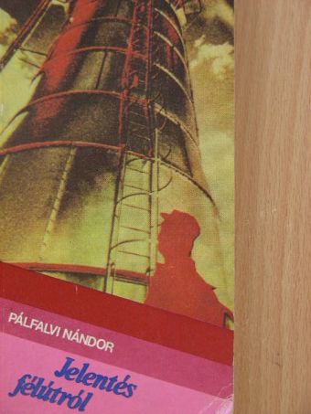 Pálfalvi Nándor - Jelentés félútról [antikvár]