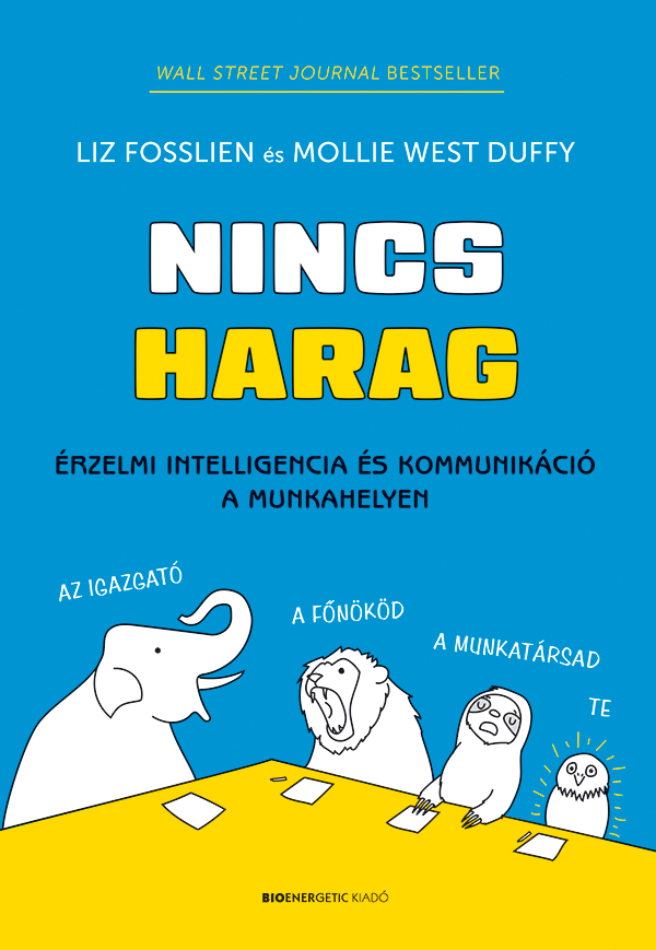 Liz Fosslien - Nincs harag