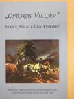 Andics Árpád - "Ostoros Villám" [antikvár]