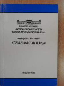 Gelegonya Judit - Közgazdaságtan alapjai [antikvár]